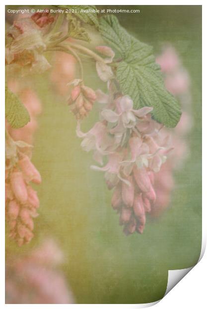 Soft pink flowers Print by Aimie Burley