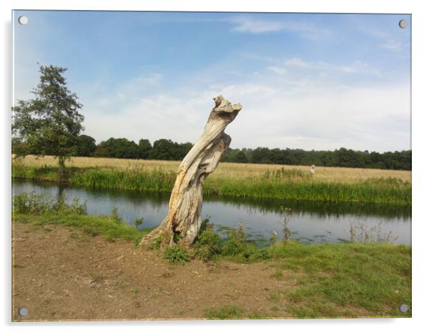 River Stour at Dedham Acrylic by John Bridge