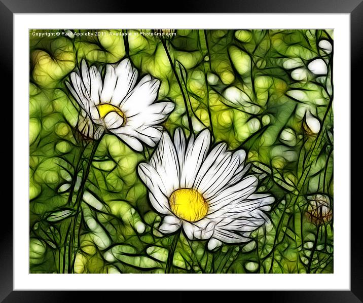Stained Glass Daisies Framed Mounted Print by Paul Appleby