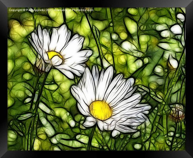Stained Glass Daisies Framed Print by Paul Appleby