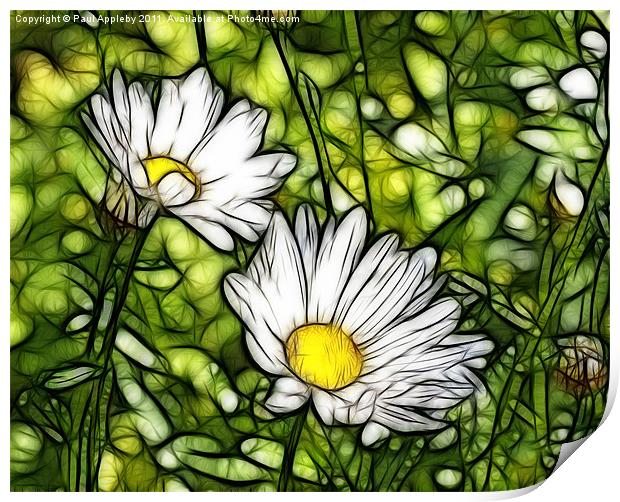 Stained Glass Daisies Print by Paul Appleby