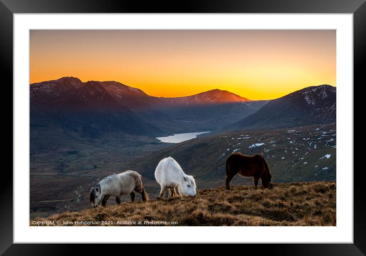 Snowdonia ponies Framed Mounted Print by John Henderson