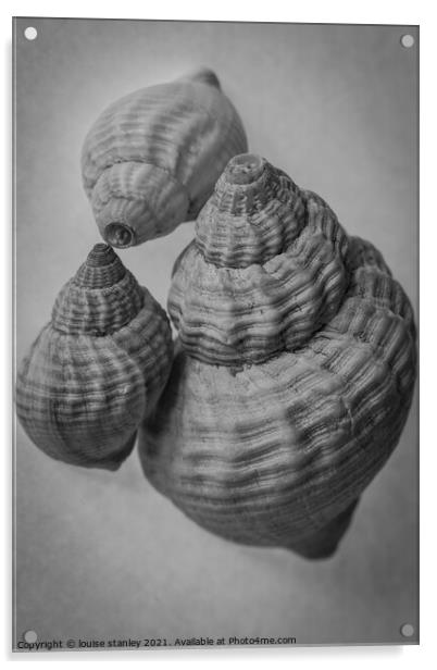  Common Whelk shells Acrylic by louise stanley