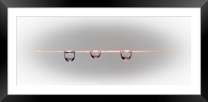 Three waterdrops on a string, Close up Framed Mounted Print by Rika Hodgson