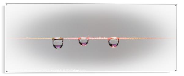 Three waterdrops on a string, Close up Acrylic by Rika Hodgson