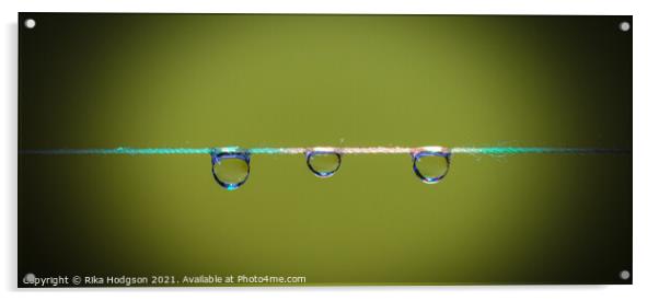 Water Droplets, close up Acrylic by Rika Hodgson