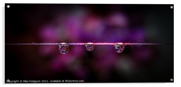 Three dark water droplets, Close up Acrylic by Rika Hodgson