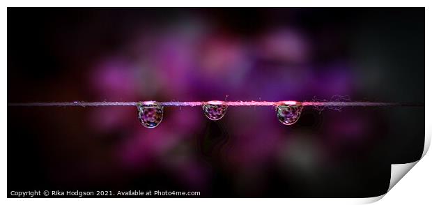 Three dark water droplets, Close up Print by Rika Hodgson