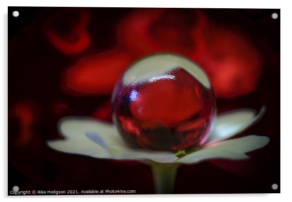 Tiny Glass Ball on Flower, Close Up Acrylic by Rika Hodgson