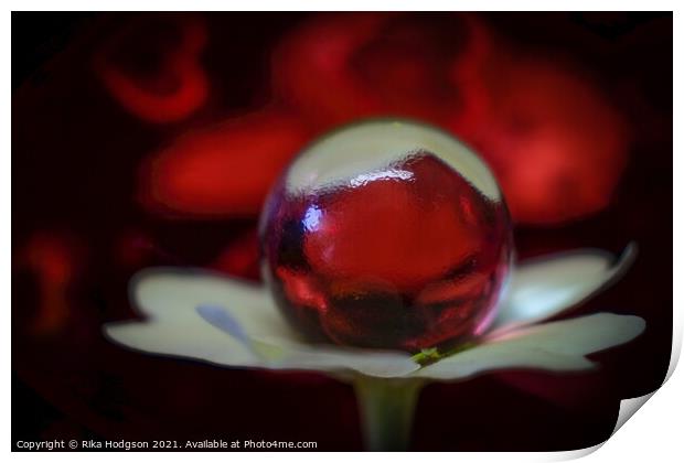 Tiny Glass Ball on Flower, Close Up Print by Rika Hodgson