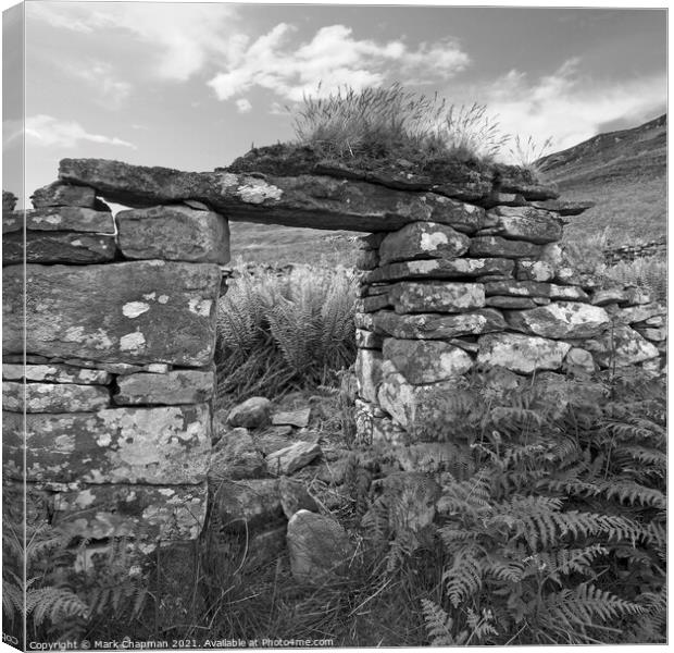 Ruined croft doorway, Boreraig, Isle of Skye, Scotland Canvas Print by Photimageon UK