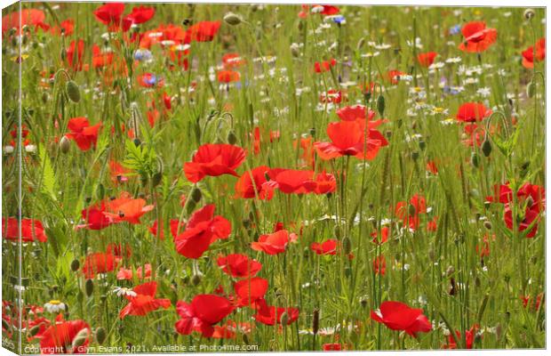 Poppy field Canvas Print by Glyn Evans