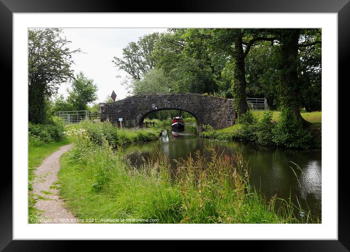 Cruising along the canal. Framed Mounted Print by Glyn Evans