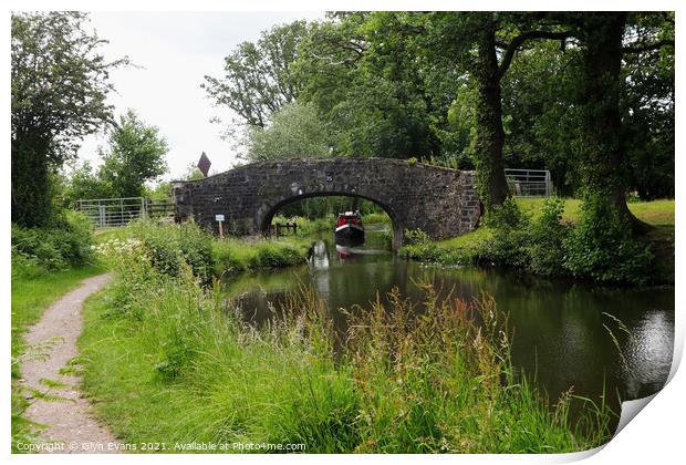 Cruising along the canal. Print by Glyn Evans