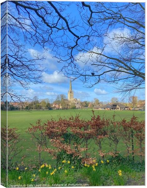 Springtime at Norwich Cathedral Canvas Print by Sally Lloyd