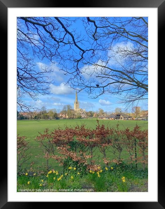 Springtime at Norwich Cathedral Framed Mounted Print by Sally Lloyd