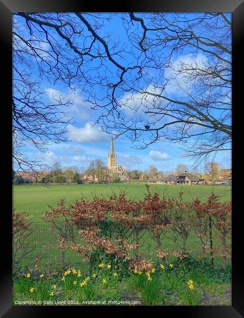 Springtime at Norwich Cathedral Framed Print by Sally Lloyd