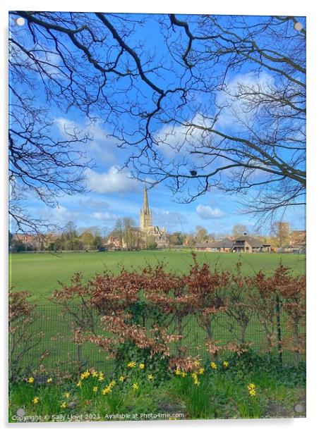 Springtime at Norwich Cathedral Acrylic by Sally Lloyd