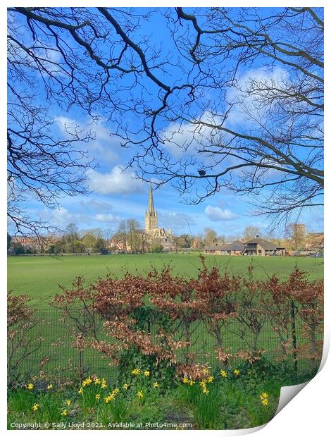 Springtime at Norwich Cathedral Print by Sally Lloyd