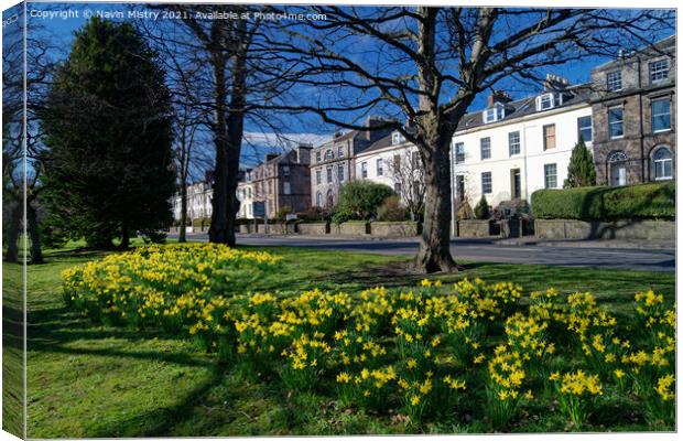 The South Inch, Perth, Scotland in spring time Canvas Print by Navin Mistry