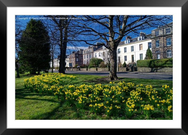 The South Inch, Perth, Scotland in spring time Framed Mounted Print by Navin Mistry