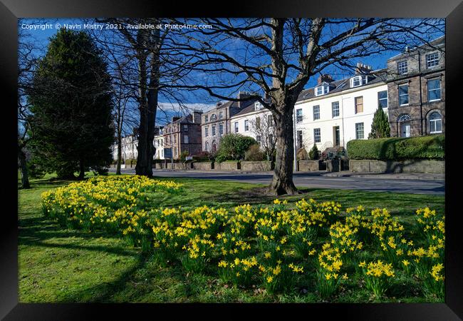The South Inch, Perth, Scotland in spring time Framed Print by Navin Mistry
