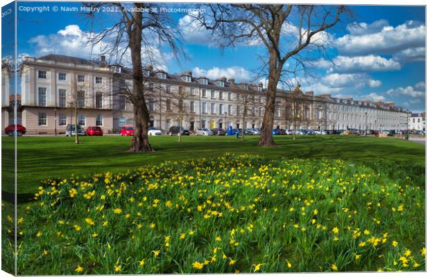 A display of spring daffodils, Rose Terrace, North Canvas Print by Navin Mistry