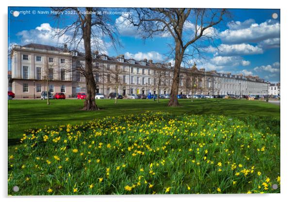 A display of spring daffodils, Rose Terrace, North Acrylic by Navin Mistry