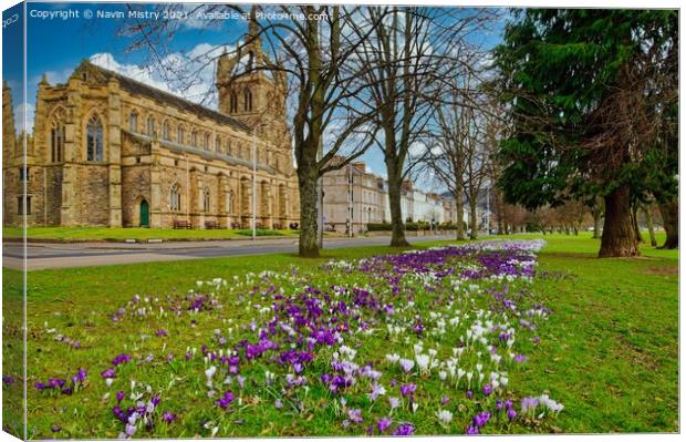 The South Inch, Perth, Scotland seen in springtime Canvas Print by Navin Mistry