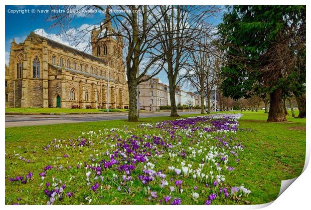 The South Inch, Perth, Scotland seen in springtime Print by Navin Mistry