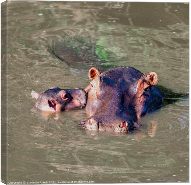 Hippopotamus Mother And Baby Canvas Print by Steve de Roeck