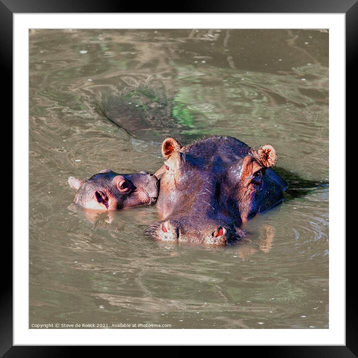 Hippopotamus Mother And Baby Framed Mounted Print by Steve de Roeck