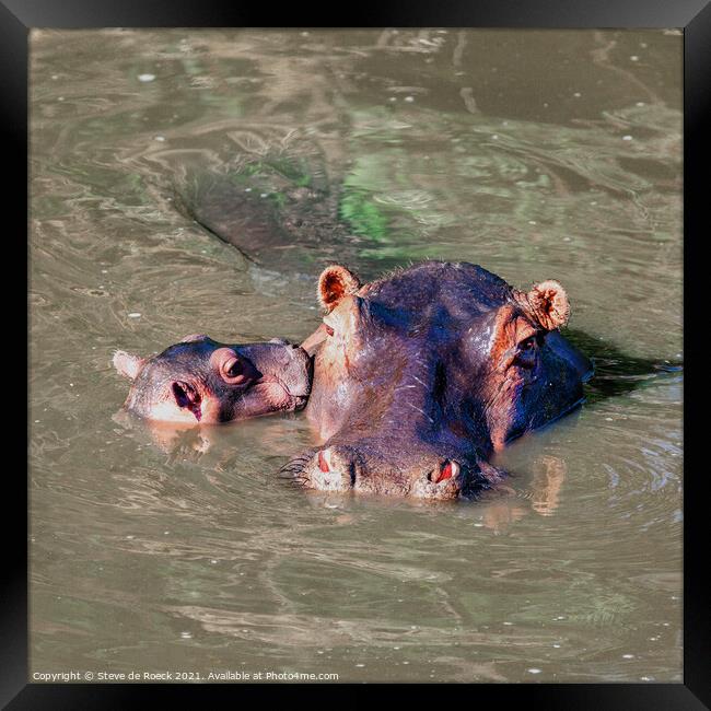 Hippopotamus Mother And Baby Framed Print by Steve de Roeck