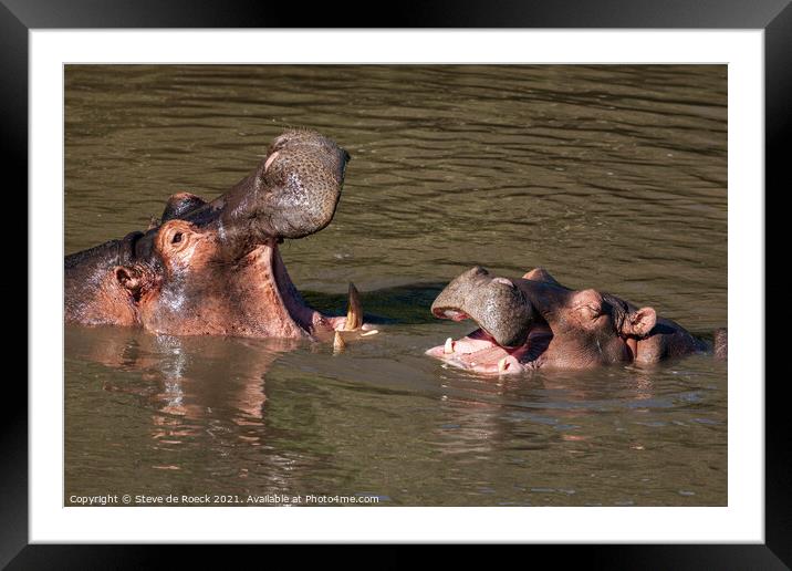 Hippos Sharing A Joke Framed Mounted Print by Steve de Roeck