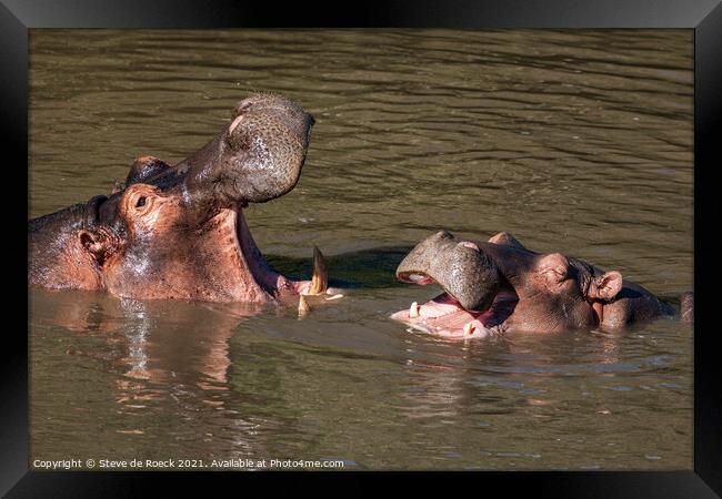 Hippos Sharing A Joke Framed Print by Steve de Roeck