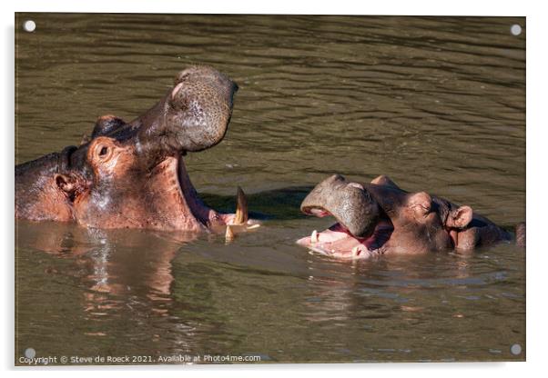 Hippos Sharing A Joke Acrylic by Steve de Roeck
