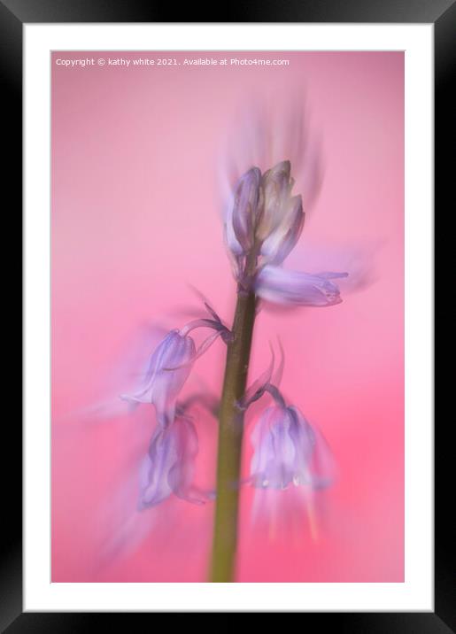 English Bluebell Cornwall Framed Mounted Print by kathy white