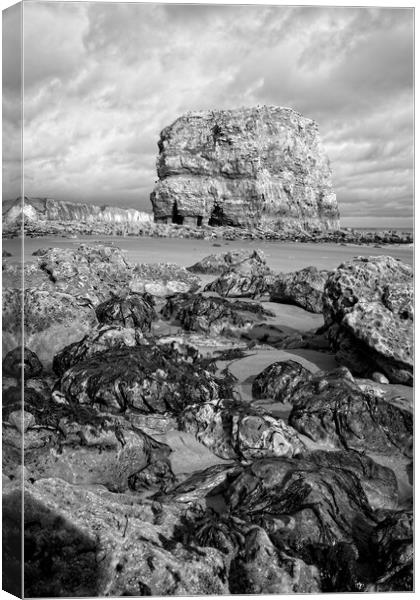 Marsden Rock, Whitburn Canvas Print by Rob Cole