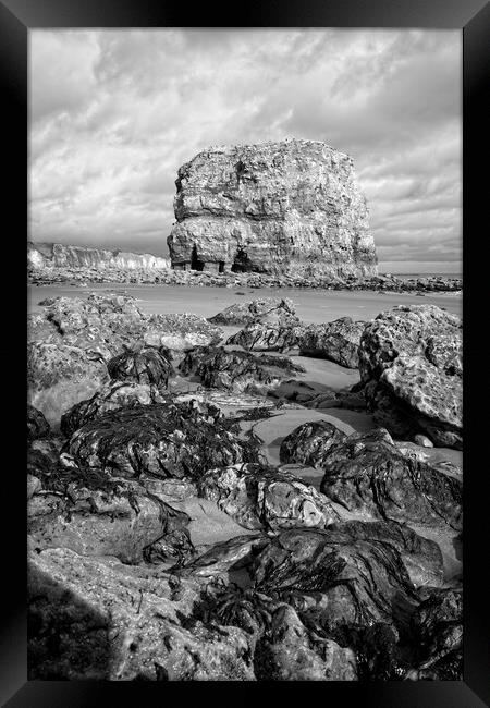 Marsden Rock, Whitburn Framed Print by Rob Cole