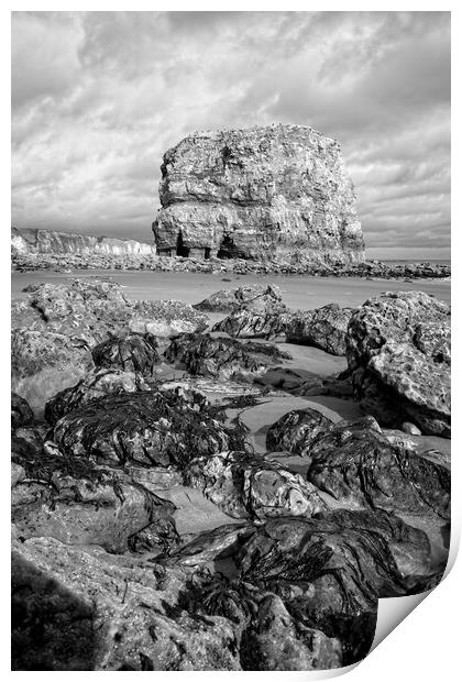 Marsden Rock, Whitburn Print by Rob Cole