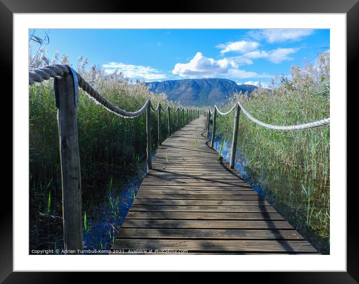 Boardwalk, Ghost Mountain, Mkuze, KwaZulu Natal   Framed Mounted Print by Adrian Turnbull-Kemp