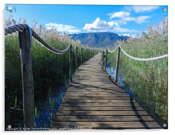 Boardwalk, Ghost Mountain, Mkuze, KwaZulu Natal   Acrylic by Adrian Turnbull-Kemp