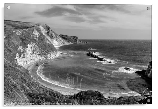 Man O' War Bay Dorset Monochrome Acrylic by Diana Mower