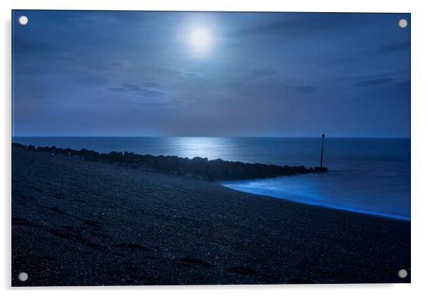 Blue Moonlight Acrylic by David Hare