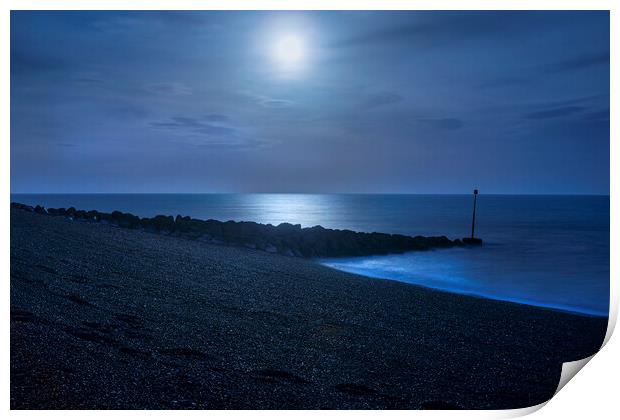 Blue Moonlight Print by David Hare