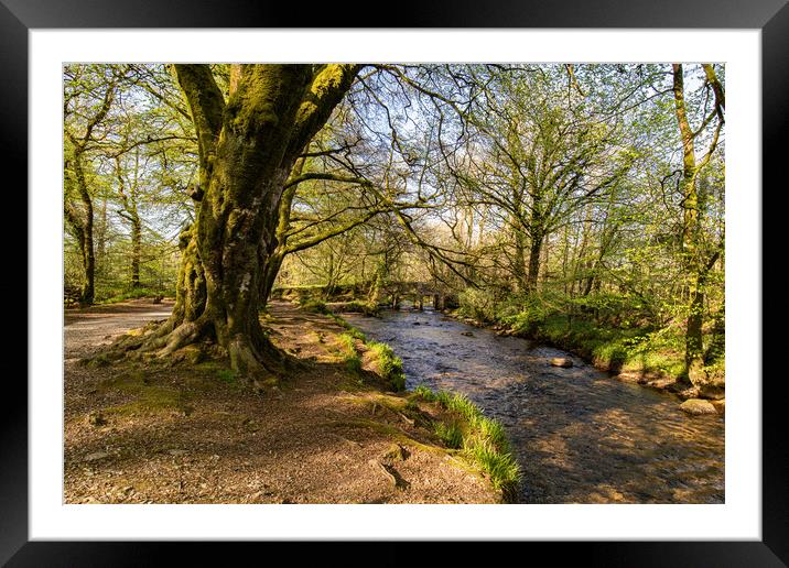 River Fowey at Golitha Bodmin Moor Cornwall Framed Mounted Print by Jim Peters