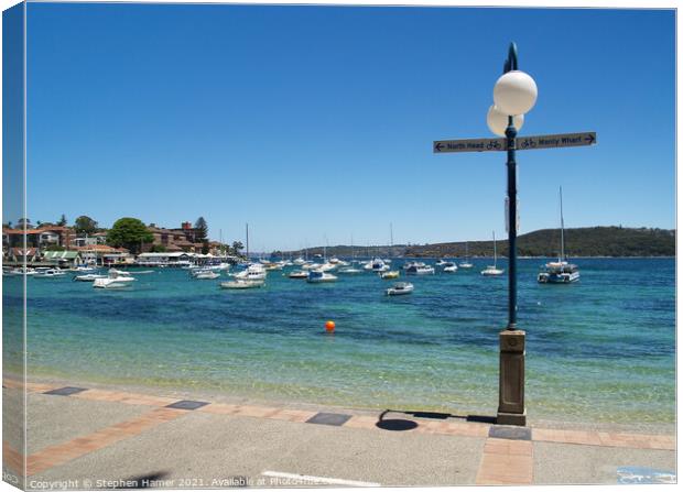 Manly Cabbage Tree Bay Canvas Print by Stephen Hamer
