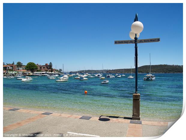 Manly Cabbage Tree Bay Print by Stephen Hamer