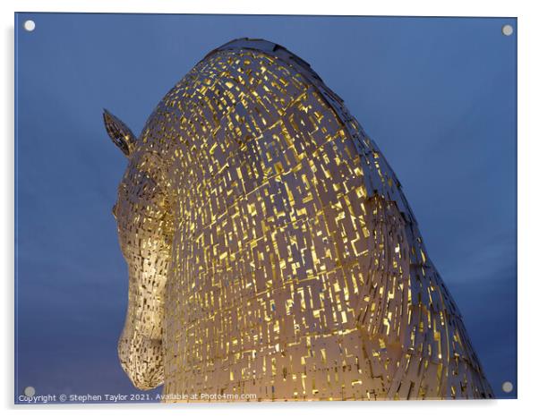 The Kelpies  Acrylic by Stephen Taylor
