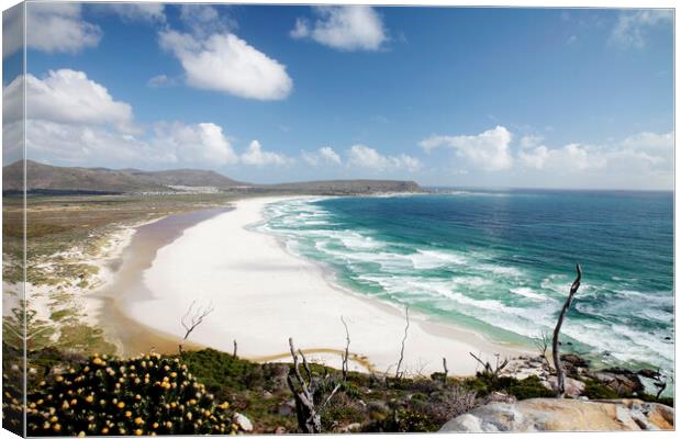 Noordhoek Beach, South Africa Canvas Print by Neil Overy